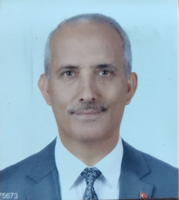 Davut Şimşek